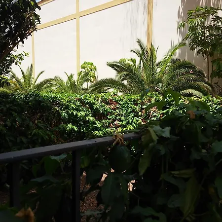 Apartmán Playa La Arena Puerto de Santiago (Tenerife)