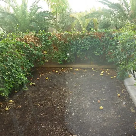 Playa La Arena Apartmán